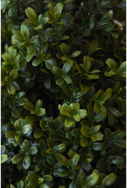 Umelý buxus BUXA, plast, výška 70 cm, zelený