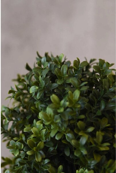 Umelý buxus BUXA, plast, výška 70 cm, zelený