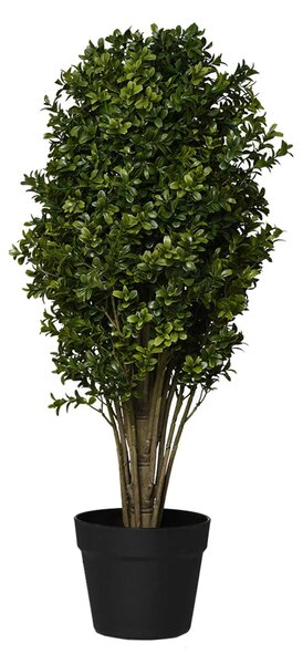 Umelý buxus BUXA, plast, výška 70 cm, zelený