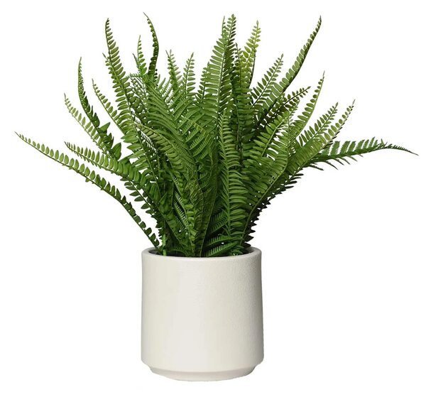 Umelá papraď v kvetináči IRATZEA, plast, výška 55 cm, zelená