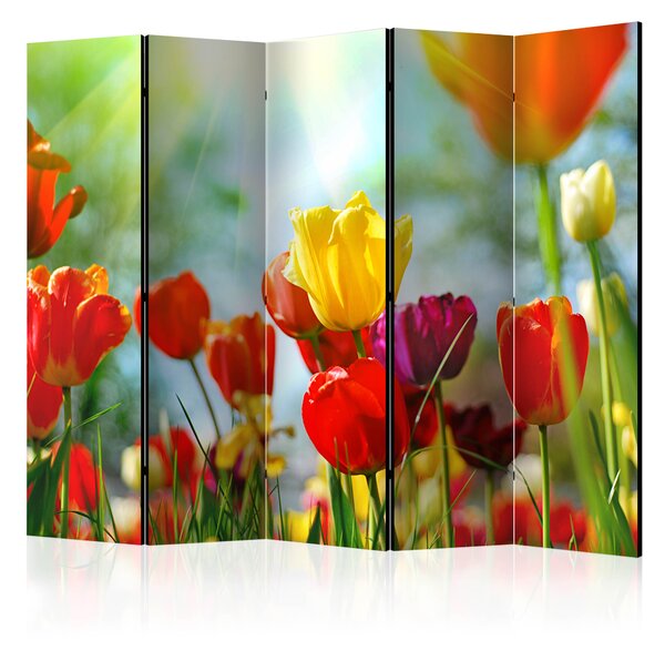 Artgeist Paraván - Spring Tulips II [Room Dividers]