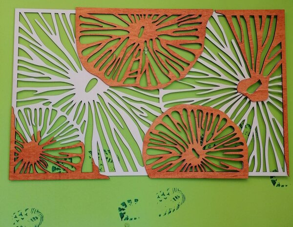 Vyrezávaný obraz na stenu z drevenej preglejky orange 3D efekt KODJAK: 46 x 80 cm 3915-44973 PR0299 5 casti