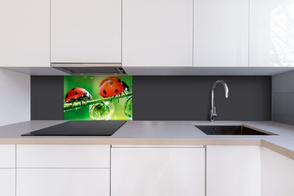 DIMEX | Plexisklo za kuchynskú linku PGT-06040-015 | 60 x 40 cm Lienka