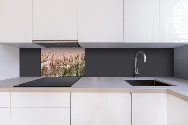 DIMEX | Plexisklo za kuchynskú linku PGT-06040-136 | 60 x 40 cm Pšeničné pole