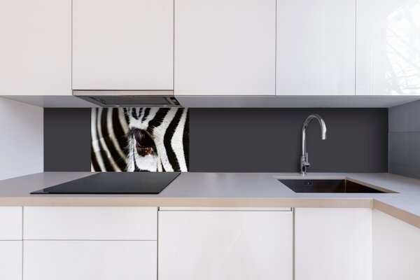 DIMEX | Plexisklo za kuchynskú linku PGT-06040-016 | 60 x 40 cm Zebra