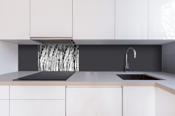 DIMEX | Plexisklo za kuchynskú linku PGT-06040-137 | 60 x 40 cm Čiernobiela tráva