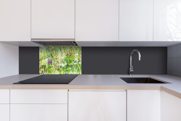 DIMEX | Plexisklo za kuchynskú linku PGT-06040-172 | 60 x 40 cm Kvetinová lúka