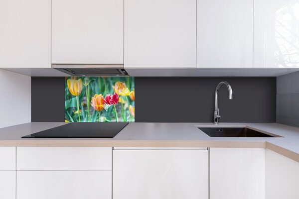 DIMEX | Plexisklo za kuchynskú linku PGT-06040-122 | 60 x 40 cm Jarné kvety