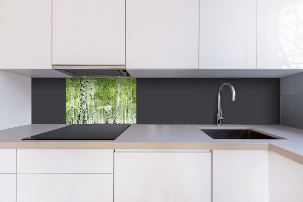 DIMEX | Plexisklo za kuchynskú linku PGT-06040-193 | 60 x 40 cm Jarný brezový háj