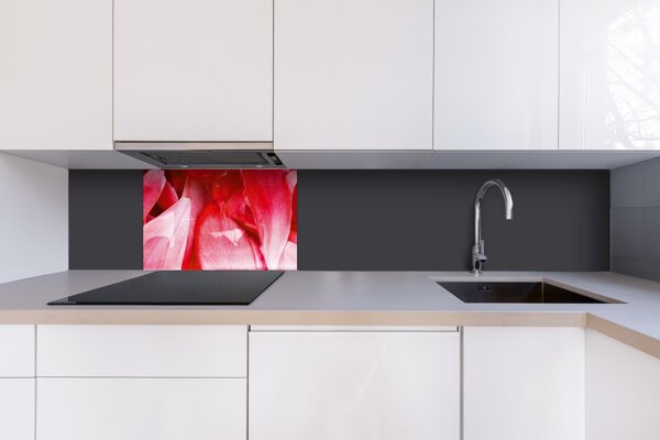 DIMEX | Plexisklo za kuchynskú linku PGT-06040-056 | 60 x 40 cm Červené okvetné lístky