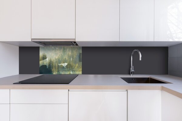 DIMEX | Plexisklo za kuchynskú linku PGT-06040-194 | 60 x 40 cm Zahmlený les