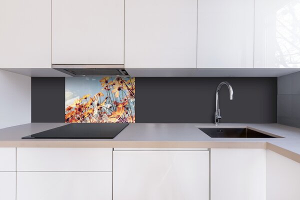 DIMEX | Plexisklo za kuchynskú linku PGT-06040-123 | 60 x 40 cm Jarná lúka