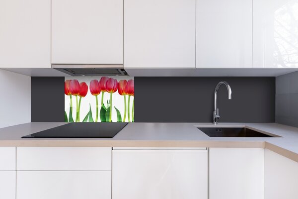 DIMEX | Plexisklo za kuchynskú linku PGT-06040-058 | 60 x 40 cm Tulipány