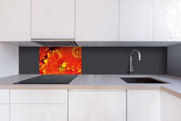 DIMEX | Plexisklo za kuchynskú linku PGT-06040-059 | 60 x 40 cm Gerbera