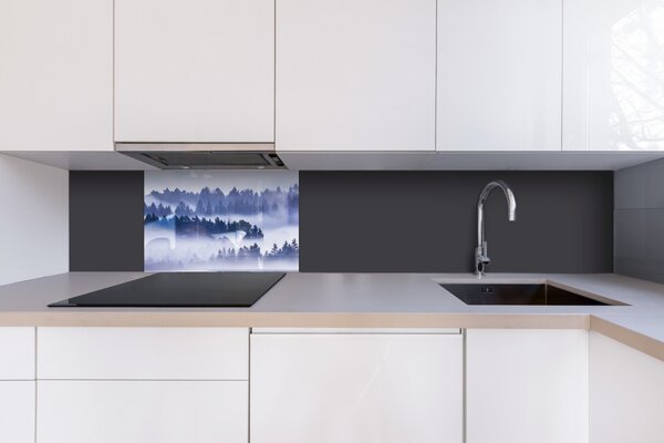 DIMEX | Plexisklo za kuchynskú linku PGT-06040-195 | 60 x 40 cm Hmla medzi stromami