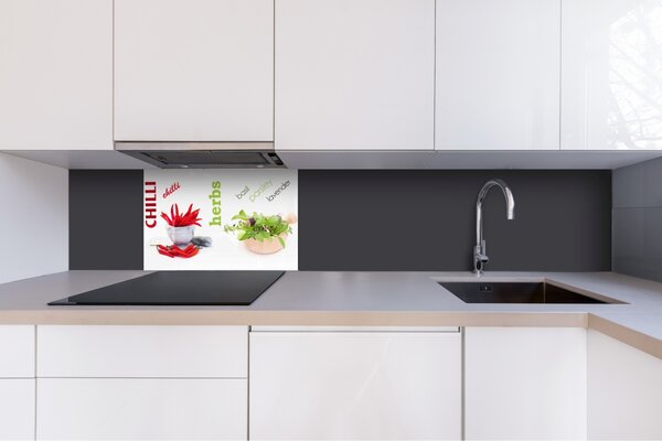 DIMEX | Plexisklo za kuchynskú linku PGT-06040-003 | 60 x 40 cm Korenie