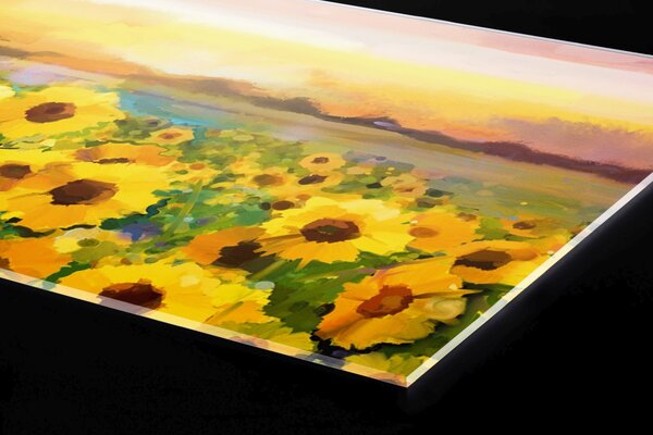 DIMEX | Plexisklo za kuchynskú linku PGT-08040-214 | 80 x 40 cm Maľba slnečníc