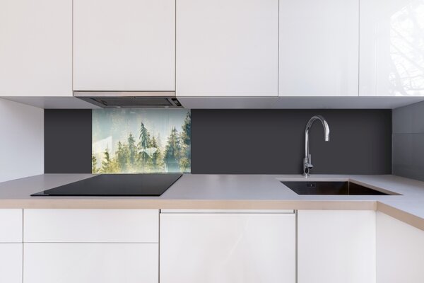 DIMEX | Plexisklo za kuchynskú linku PGT-06040-141 | 60 x 40 cm Hmla nad lesom