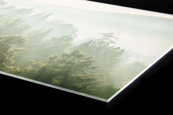 DIMEX | Plexisklo za kuchynskú linku PGT-06040-196 | 60 x 40 cm Slnečné lúče nad lesom