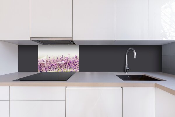 DIMEX | Plexisklo za kuchynskú linku PGT-06040-125 | 60 x 40 cm Levanduľové pole
