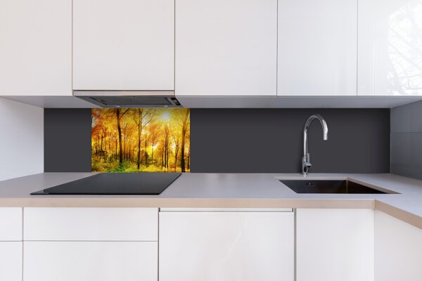 DIMEX | Plexisklo za kuchynskú linku PGT-06040-084 | 60 x 40 cm Slnečný les