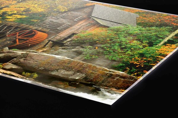 DIMEX | Plexisklo za kuchynskú linku PGT-06040-042 | 60 x 40 cm Mlyn