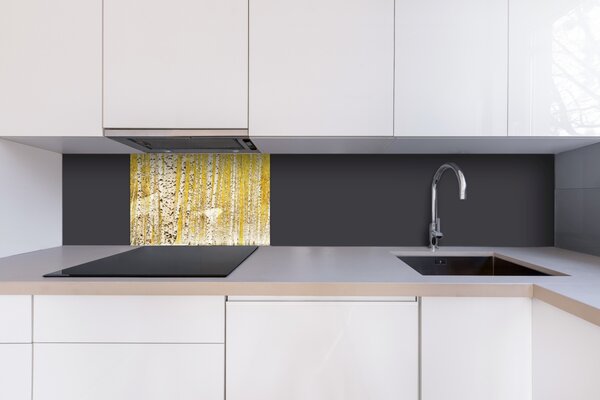DIMEX | Plexisklo za kuchynskú linku PGT-06040-197 | 60 x 40 cm Žltý brezový háj