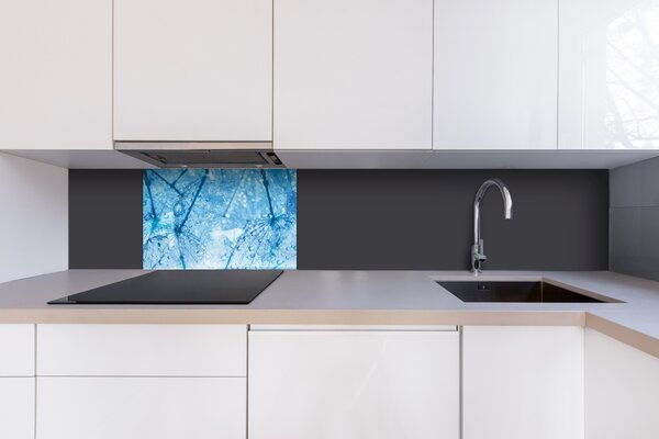 DIMEX | Plexisklo za kuchynskú linku PGT-06040-127 | 60 x 40 cm Makro púpavy