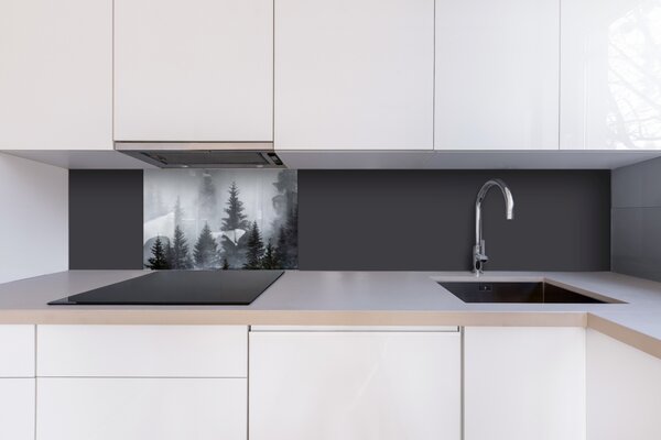 DIMEX | Plexisklo za kuchynskú linku PGT-06040-143 | 60 x 40 cm Hmla