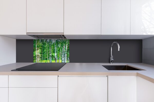 DIMEX | Plexisklo za kuchynskú linku PGT-06040-044 | 60 x 40 cm Brezový háj