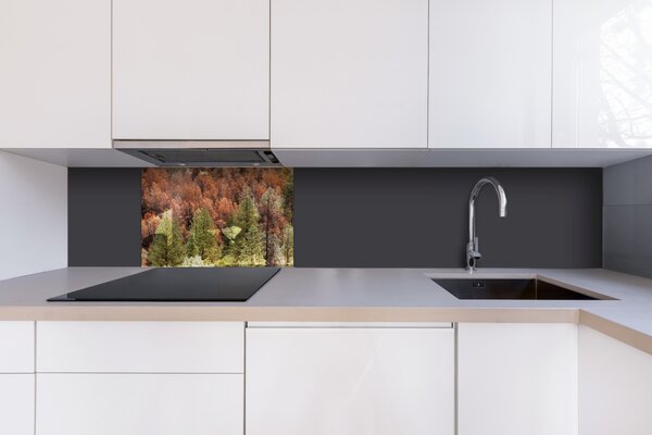DIMEX | Plexisklo za kuchynskú linku PGT-06040-198 | 60 x 40 cm Farebný borovicový háj