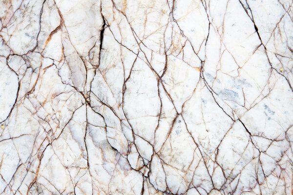 DIMEX | Plexisklo za kuchynskú linku PGT-06040-273 | 60 x 40 cm Textúra bieleho mramoru