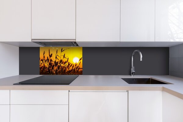 DIMEX | Plexisklo za kuchynskú linku PGT-06040-128 | 60 x 40 cm Západ slnka