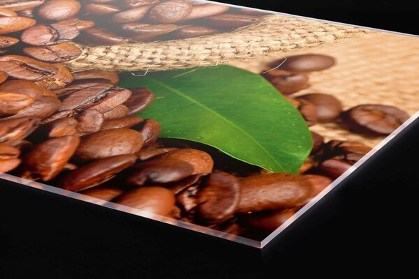 DIMEX | Plexisklo za kuchynskú linku PGT-06040-006 | 60 x 40 cm Káva
