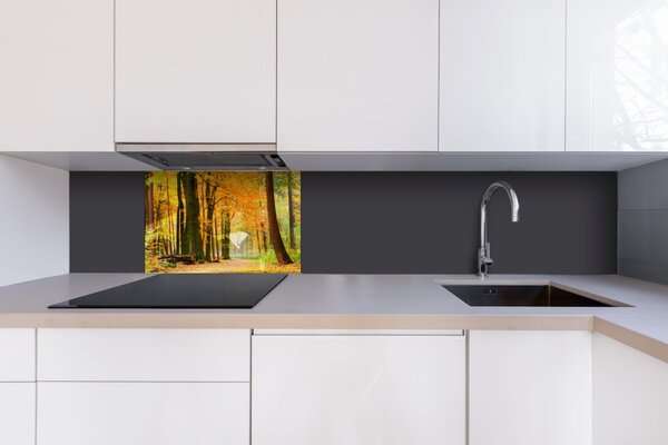 DIMEX | Plexisklo za kuchynskú linku PGT-06040-045 | 60 x 40 cm Jesenný les