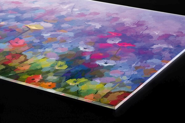 DIMEX | Plexisklo za kuchynskú linku PGT-08040-217 | 80 x 40 cm Farebná kvetinová maľba