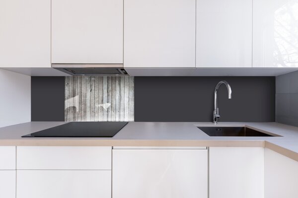 DIMEX | Plexisklo za kuchynskú linku PGT-06040-291 | 60 x 40 cm Staré vyblednuté dosky