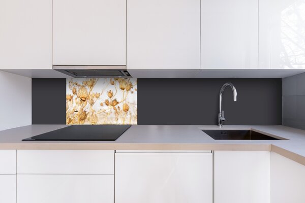 DIMEX | Plexisklo za kuchynskú linku PGT-06040-180 | 60 x 40 cm Suché bodľačie