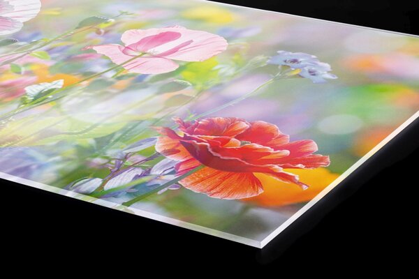 DIMEX | Plexisklo za kuchynskú linku PGT-06040-199 | 60 x 40 cm Letná farebná lúka