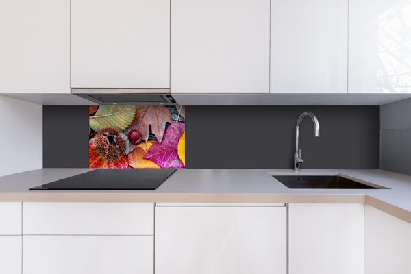 DIMEX | Plexisklo za kuchynskú linku PGT-06040-047 | 60 x 40 cm Jesenné lístie