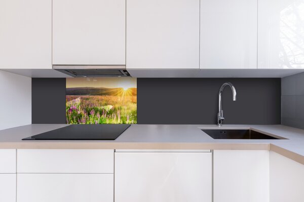 DIMEX | Plexisklo za kuchynskú linku PGT-06040-145 | 60 x 40 cm Západ slnka na lúku
