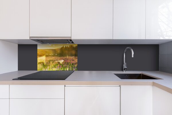 DIMEX | Plexisklo za kuchynskú linku PGT-06040-201 | 60 x 40 cm Slnečné lúče nad lúkou