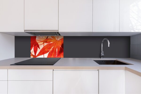 DIMEX | Plexisklo za kuchynskú linku PGT-06040-008 | 60 x 40 cm Červené listy