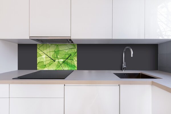 DIMEX | Plexisklo za kuchynskú linku PGT-06040-048 | 60 x 40 cm Žilky listov