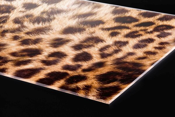 DIMEX | Plexisklo za kuchynskú linku PGT-06040-069 | 60 x 40 cm Leopardia koža