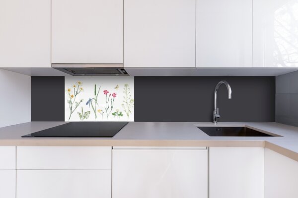 DIMEX | Plexisklo za kuchynskú linku PGT-06040-219 | 60 x 40 cm Kresba z herbára