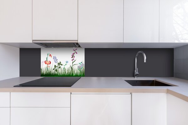 DIMEX | Plexisklo za kuchynskú linku PGT-06040-182 | 60 x 40 cm Lúčny dizajn