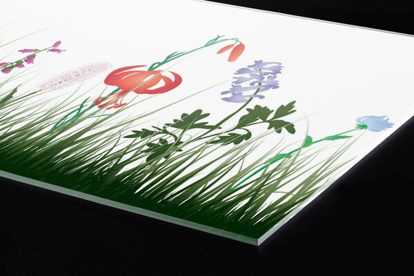 DIMEX | Plexisklo za kuchynskú linku PGT-06060-182 | 60 x 60 cm Lúčny dizajn