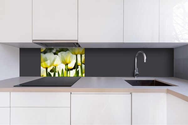 DIMEX | Plexisklo za kuchynskú linku PGT-06040-009 | 60 x 40 cm Biele tulipány
