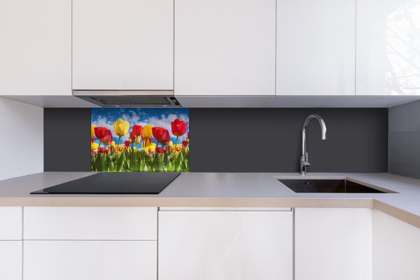 DIMEX | Plexisklo za kuchynskú linku PGT-06040-131 | 60 x 40 cm Pole tulipánov
